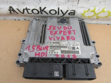 img1575564